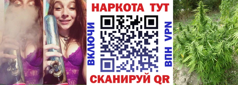 Где продают наркотики Новоалександровск Псилоцибиновые грибы  КОКАИН  МЕФ  Каннабис  mega онион  АМФЕТАМИН  A-PVP 