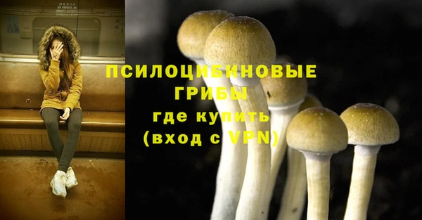 дурь Балахна