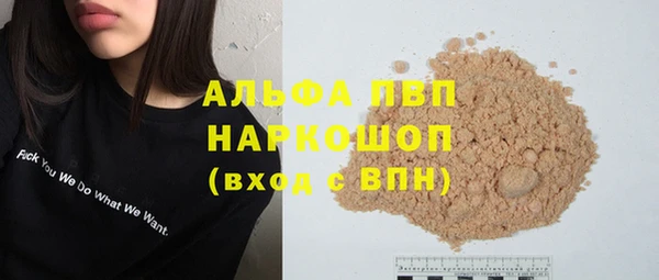 стаф Белокуриха