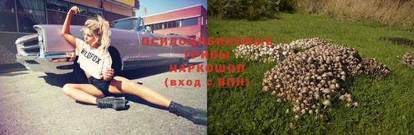 дурь Балахна